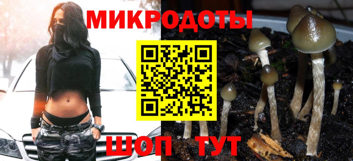 Псилоцибиновые грибы прущие грибы  цены   Коломна  Вход с VPN  Галлюциногенные грибы Cubensis 